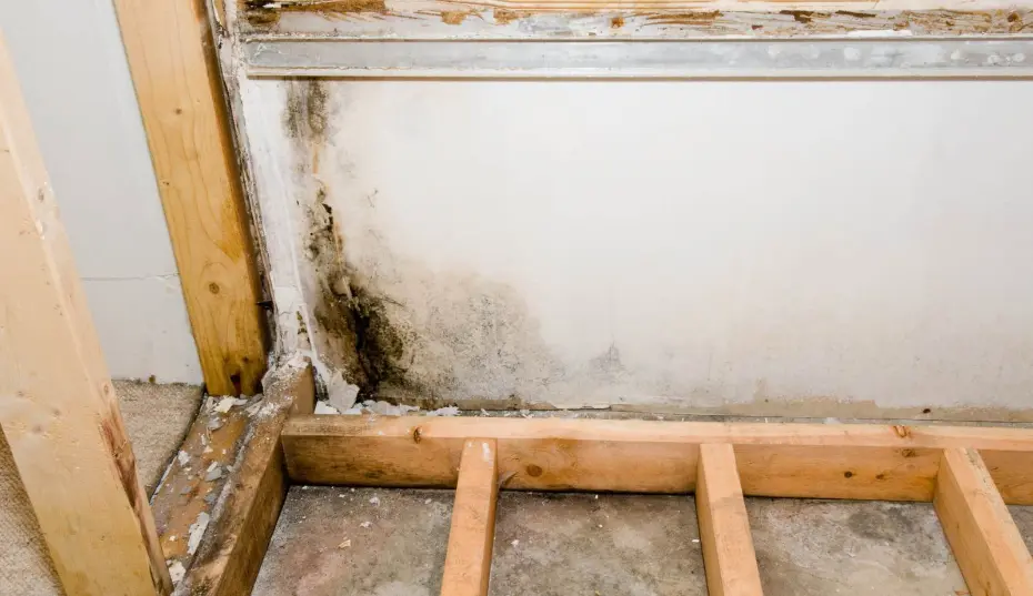 Leaking pipe inside condo wall causing mold issues in Orange County, CA