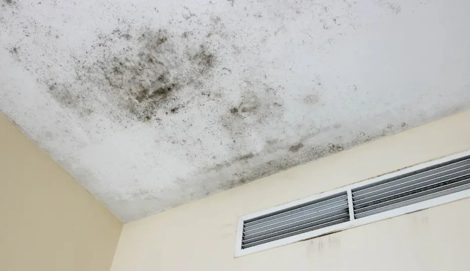 Professional containment with plastic barriers, negative air, and a HEPA scrubber—critical controls DIY mold cleanup often skips in Tidewater & Virginia Beach, VA.
